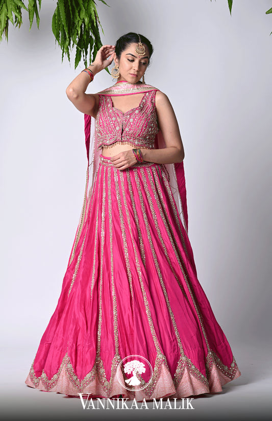 Rani Embroidered Lehenga Set